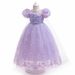 Kids' Clothing Frozen New Cos Costume Girls Princess Dress Long Performance Costume Summer Dress_voghion.com