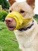 Muzz Dogs Biting, Barking, Accidental Feeding, Prevents Slipping, Suitab For Small, Medium, And Large Dogs, By PawParty Store_voghion.com