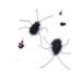 Replacement Head Realistic Small Flying Insect Teaser Wand Cat Toy_voghion.com