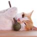 Pet Snacks Catnip Balls Wood Tianpo Sticks Lollipop Teasing Toys Cat Teething Stick No Trace_voghion.com