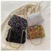 Mini Bag Dinner Bag Women's Fashion Sequin Niche Design Women's Bag New Dance High End Casual Bag_voghion.com