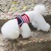 Haustiergeschirr Teddy Pudel Pommerschen Weste-Stil Walking Leine Welpen kleiner Hund_voghion.com