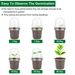 30Pcs Plant Nursery Pots PET Flower Seed Starting Pots Container With Dome With Drainage Holes_voghion.com