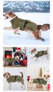 Haustierkleidung, baumwollgepolsterte Kleidung, Winterkleidung für große Hunde, Golden Retriever, französischer Eimer, Corgi, warm halten_voghion.com