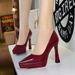 Women's Elegant Pointed Toe High Heel Pumps With Chunky Heel & Platform - Perfect For Parties & Evening Events Shoes_voghion.com