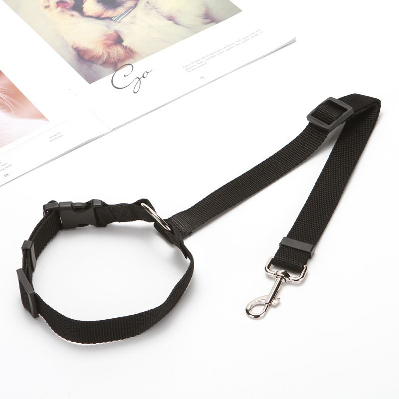 Adjustable 2-in-1 Pet Car Seat Belt And Leash For Dogs And Cats - Backseat Safety Belt With Nylon Lead For Secure Travel_voghion.com