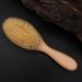 Straight Beech Wood Pig Mane Air Cushion Daily Use At Home, Large Board For Scalp Massage And Care, Airbag Comb_voghion.com