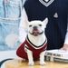 Maglione invernale caldo per cani in stile studentesco con scollo a V, maglieria per cuccioli di cani di piccola e grande taglia, gilet per bulldog francese, di PawParty Store_voghion.com