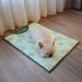 Summer Ice Silk Cool Breathable Pet Dog Supplies Cooling Mat Cat Bed_voghion.com