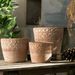 Succulent Creative Potted Gardening Home Office Green Plant Cement Small Flower Pot_voghion.com