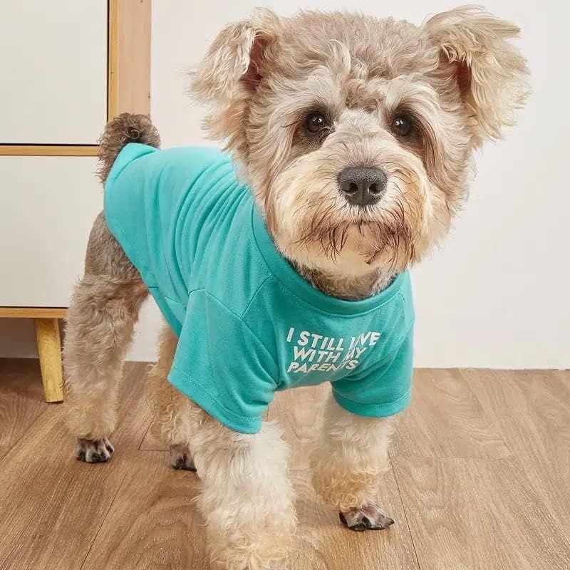 Süße Hundekleidung, Hunde-T-Shirt für mittelgroße Hunde. Hundekleidung für kleine Hunde, Mädchen und Jungen, Welpen. Atmungsaktives, weiches Hundekostüm für Haustiere, Hunde und Katzen, Pullover für Haustiere_voghion.com