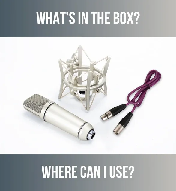 HISINGWELL All-Metal Capacitive Recording Microphone for Laptop Windows Cardioid Studio, Vocal Music_voghion.com