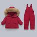 Winter Kids Down Jacket Set - Warm Hooded Snowsuit For Toddlers 1-3 Years, 80-100cm, Soft Duck Feather, Zipper Closure, Unisex_voghion.com
