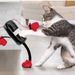 New Game Multifunctional Cat Teaser Boxing Toy_voghion.com