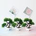 Four-ball pine grass simulation plant potted grass ball bonsai small tree home decoration flower ornaments_voghion.com