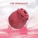 luckyqqyp Vibrateur en forme de rose transfrontalière, stimulateur de mamelons et de clitoris pour femmes, jouet sexuel pour adultes._voghion.com