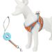 Pet Products New Mesh Pet Chest Harness Breathable Reflective Dog Leash Color Matching Cat Leash Dog Leash Pet Supplies_voghion.com