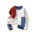 Men's Thickened Korean Style Color Block Trendy Autumn Winter Brand Knitted Youth Student Base Sweater_voghion.com