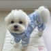 Poncho antipioggia coreano impermeabile a copertura totale per cani di piccola e media taglia, con cappuccio a quattro zampe, per animali domestici, tipo Teddy Bichon._voghion.com