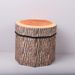 Foldable Fabric Storage Stool - Multi-Fruit & Tree Stump Design, 100kg Capacity, Space-Saving Kids Seat (29x30cm)_voghion.com