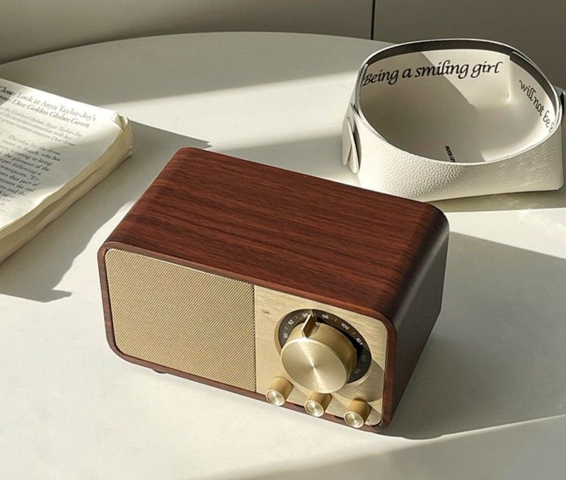 Altoparlante Bluetooth portatile in legno per anziani_voghion.com