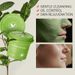 Laikou Green Tea Mud Mask 100g Cleansing Hydrating Moisturizing Mask Mud_voghion.com