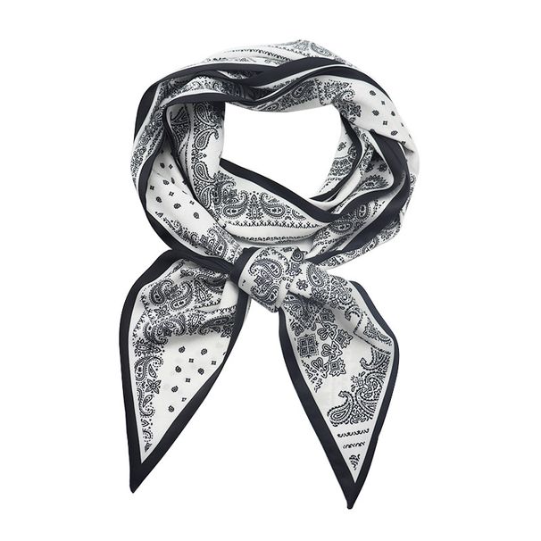 Sciarpe strette, piccole strisce lunghe per le donne in autunno inverno, nuova fascia per capelli alla moda e versatile, fascia per il collo, Western_voghion.com