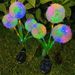 Solar-Powered LED Dandelion String Lights – Waterproof Garden Decor With Warm/Colorful Options For Patio, Yard & Events_voghion.com