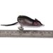 Bionic 7cm Floating Lure Frog 17.43g Snakehead All-Purpose Soft Bait FR010_voghion.com