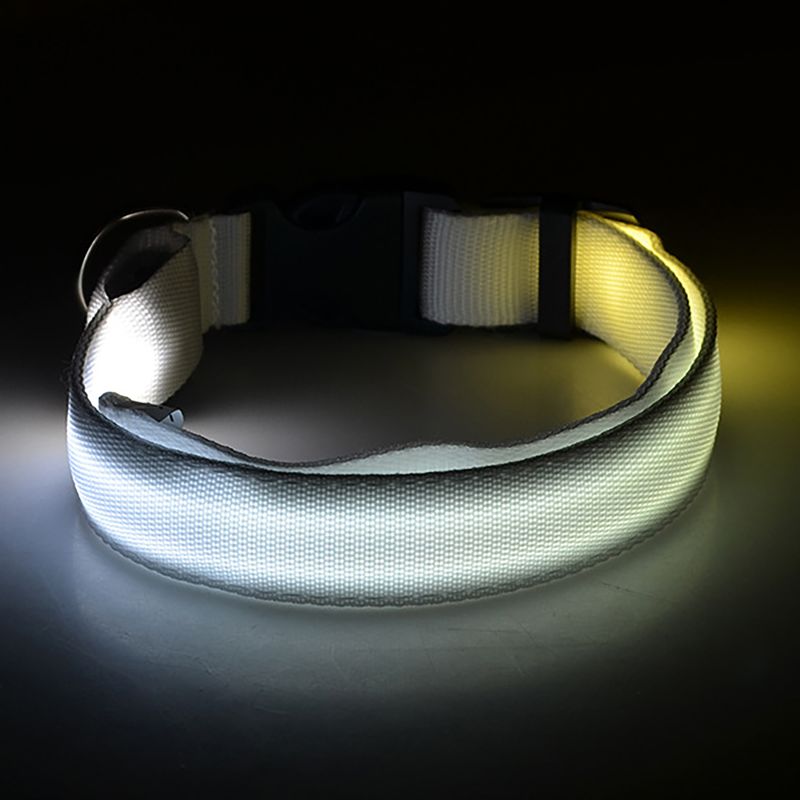 Light Up The Night With A LED Dog & Cat Collar - Perfect For Outdoor Walks!_voghion.com