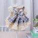 Haustier Hund Kleidung Lolita Prinzessin Katze Bichon Teddy Kleid_voghion.com