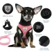 Pettorina regolabile in rete per cani S/M/L/XL di PawParty Store_voghion.com