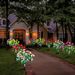 1 pezzo di luci a LED a forma di fiore di azalea alimentate a energia solare, decorazione da giardino per esterni a 7 teste con fiori multicolori, per cortile, vialetto, cortile_voghion.com