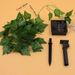 Heißer Verkauf Künstliche Green Leaf LED Kupferdraht Outdoor Dekoration Immergrüne Rebe Solar Garten Licht String_voghion.com