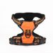 Spring And Summer Breathable Dog Leash Chest Harness Vest Style Pet Supplies_voghion.com