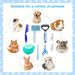 Summary Beauty Kit Nail Clippers And Files Flea Comb Pet Shedding Brush Silicone Toothbrush Customizable Label_voghion.com