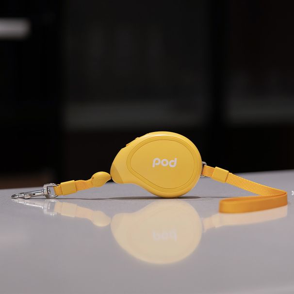 Guinzaglio retrattile automatico da viaggio per cani Jianbo Yi Pet Pod Mango Small Teddy Bichon Cat_voghion.com
