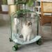 Trolley Case Portable Dog Travel Transparent Pet Space Checked Airline Box Cat Bag_voghion.com