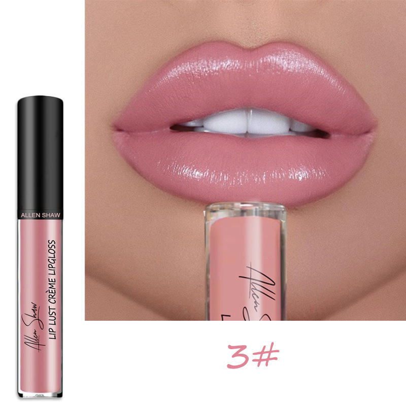 Rossetto Veet opaco 12 colori Rossetto antiaderente a lunga durata Lucidalabbra impermeabile Nude Pink Red Lip Tint Donna_voghion.com