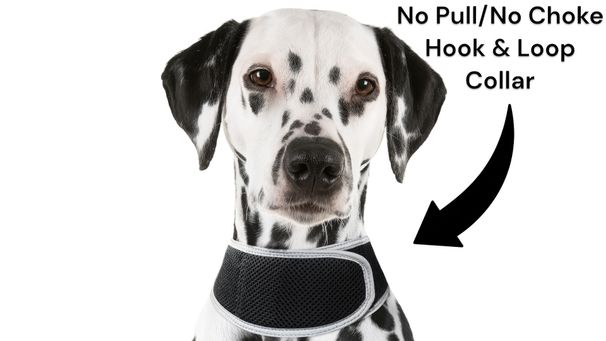 Waterproof Collar Mount GPS Satellite Pet Tracker Pocket GPRS Locator Size:XS_voghion.com