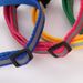 Fluorescent Nylon Dog Collar By PawParty Store_voghion.com