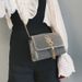 2023 Summer New Trendy Korean Style Women's Fashion Double S Crossbody Chain Shoulder Bag_voghion.com
