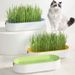 Hydroponische kattengrasbox Kattenlekkernijen Kattenkruid Hydroponische bodemloze planten Kattengras Potset voor eenvoudige groei_voghion.com