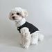 Gilet in maglia a righe semplice per cani e gatti, sottile e traspirante, in stile coreano, per cani di peluche._voghion.com