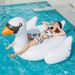 Inflatable Swan Ride-On Pool Float - Giant White Goose Lounge Chair For Adults (150cm Heavy-Duty PVC Comfortable Seat Summer Party Essential)_voghion.com