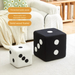 Schuhwechsel-Würfel-Kissen, Teddy-Samthocker für Wohnzimmer/Eingangsbereich, niedriger quadratischer Hocker_voghion.com