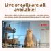 Automatic Feeder For Cats And Dogs, Intelligent Timing And Quantitative Feeder For Cats And Pets, Cat Food And Dog Food Feeder, Video Available_voghion.com