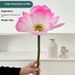 Elegant Artificial Lotus Flowers With Leaves And Pods For Home Decor, Wedding, Photography - Realistic Silk Peony Floral Arrangement_voghion.com