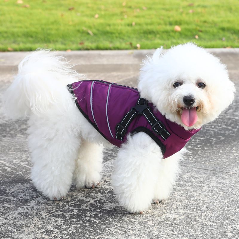 Nuovo con petto integrato, vestiti per cani di piccola taglia autunno e inverno, giacca in cotone impermeabile ispessita per cani_voghion.com