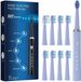 Brosse à dents électrique sonique Phylian bleu clair, 8 têtes, 5 modes, rechargeable, NEUF_voghion.com